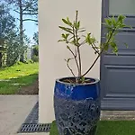 Les Passiflores - D'hotes Frühstückspension 3*