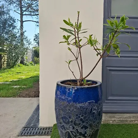 Les Passiflores - D'hotes Oda ve Kahvaltı 3*